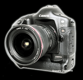 SLR digital camera with RAW output mode